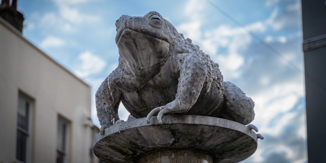 Jersey Crapaud, St Helier, Jersey