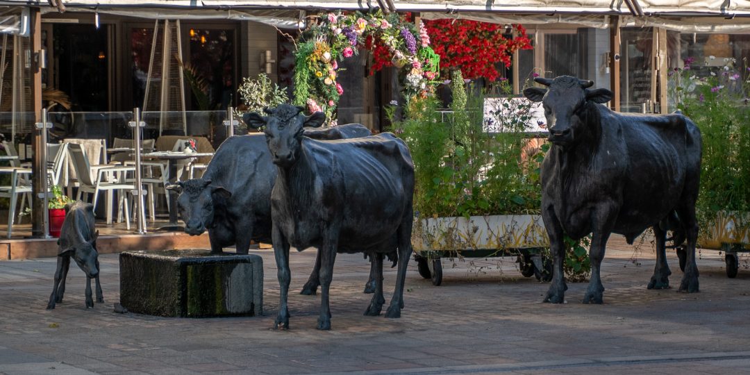 Jersey Cow Sculpture, St Helier, Jersey
