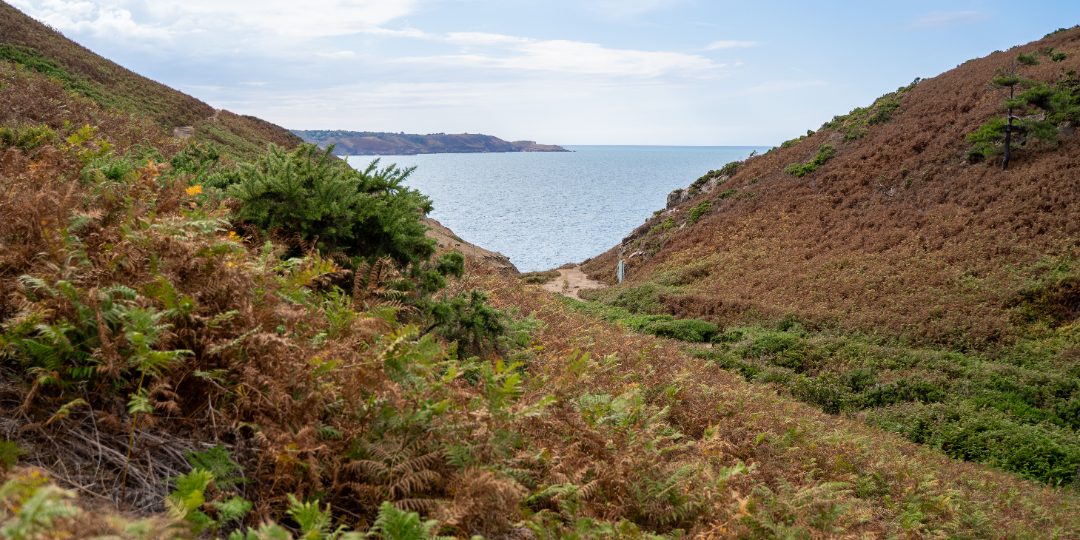 Mourier Valley, St John, Jersey